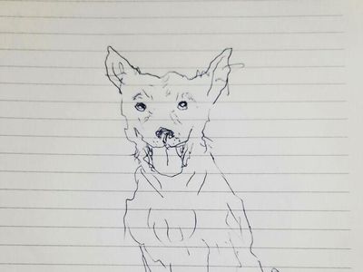 Ketika Mereka Ditantang Melukis Anjing dengan Tangan Nondominan