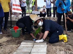 Mentan Kembangkan Komoditas Kelapa Pakai Cara Ini