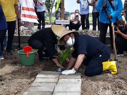 Mentan Kembangkan Komoditas Kelapa Pakai Cara Ini