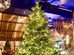Lee Jong Hoon Ngaku Tak Pernah Punya Pohon Natal