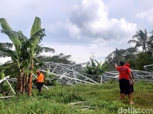 Belum Beroperasi, Tower SUTET di Semarang Roboh Belum Beroperasi, Tower SUTET di Semarang Roboh