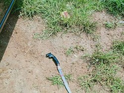 Polisi Amankan Golok yang Digunakan Gorok Leher Kusir Delman di Bandung