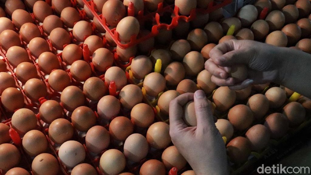 Harga Telur Ayam di Bandung Capai Rp 29 Ribu Jelang Nataru