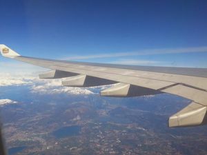 Gila! Penumpang Ini Selamat Setelah 11 Jam Numpang di Roda Pesawat