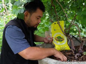 Optimisme Menyambung Urat Petani Muda Karawang