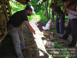 Dalam 2 Pekan, 55  Kambing Mati Secara Misterius di Kuningan