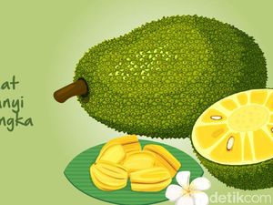 Sedang Musim, Kenali 7 Manfaat Buah Nangka