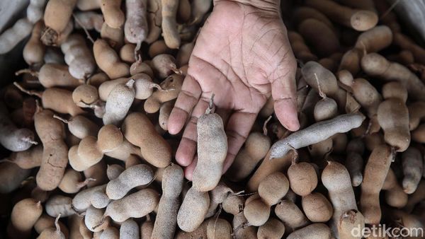 Asam Manis Bisnis Pengepul Asam