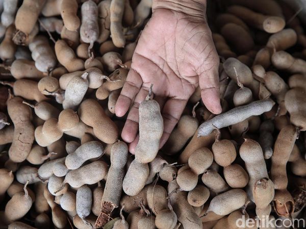 Asam Manis Bisnis Pengepul Asam