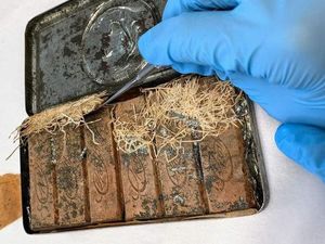 Australia Temukan Cokelat Ratu Inggris Berusia Ratusan Tahun Tapi Masih Utuh