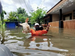 Banjir Makassar Terparah di Perumnas Antang, Ini Dugaan Penyebabnya