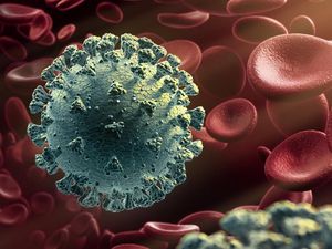 Varian Baru Corona B117 Disebut 71 Persen Cepat Menular Varian Baru Corona B117 Disebut 71 Persen Cepat Menular