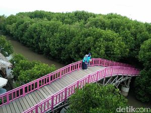 Percepatan Rehabilitasi Mangrove