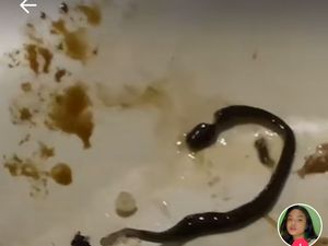 Hii Jijik! Minum Es di Warung, Wanita Ini Tak Sengaja Seruput Cacing Hidup