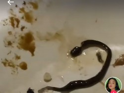 Hii Jijik! Minum Es di Warung, Wanita Ini Tak Sengaja Seruput Cacing Hidup
