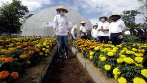 Festival Hortikultura di Purwakarta