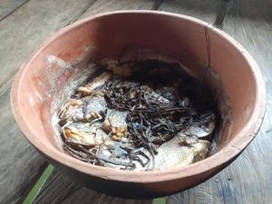 Ternyata, Orang Papua Bisa Masak Ikan Presto Sejak Zaman Prasejarah Ternyata, Orang Papua Bisa Masak Ikan Presto Sejak Zaman Prasejarah