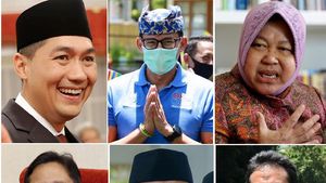 Reshuffle Kabinet, Ini Dia 6 Menteri Baru Jokowi-Maruf