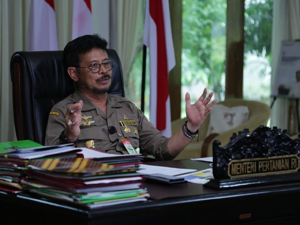 Wanti-wanti Mentan Soal Gandum: Harga Mi Bisa Naik, Sarankan Makan Singkong Wanti-wanti Mentan Soal Gandum: Harga Mi Bisa Naik, Sarankan Makan Singkong