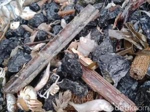 DKP Jateng Ungkap Asal Muasal Batu Bara yang Cemari Laut Batang DKP Jateng Ungkap Asal Muasal Batu Bara yang Cemari Laut Batang