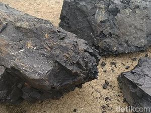 Abu Batu Bara Dihapus dari Daftar Limbah Beracun, PTBA: Bisa Dibikin Konblok