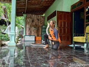 Ekstrem, Pemuda di Ponorogo Ini Pelihara King Kobra dan Suka Menciuminya