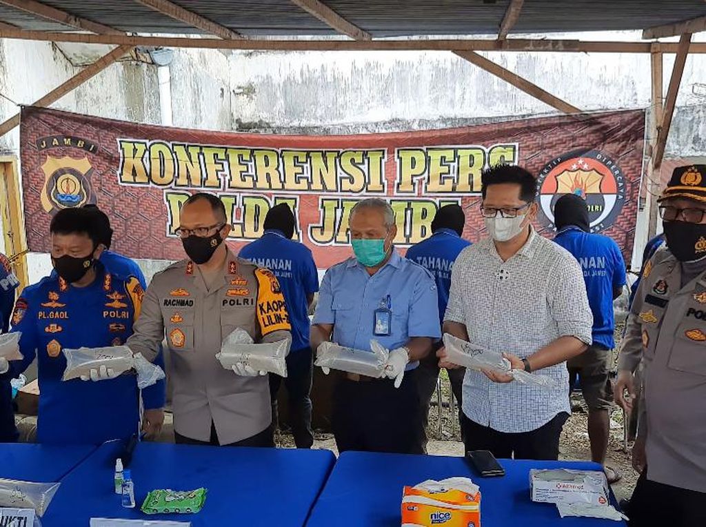 Polisi Gerebek Penampungan Benih Lobster Rp 13,1 M di Jambi Polisi Gerebek Penampungan Benih Lobster Rp 13,1 M di Jambi