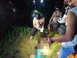 5 Warga Ngawi Tewas Tersetrum Jebakan Tikus Listrik dalam 2 Pekan 5 Warga Ngawi Tewas Tersetrum Jebakan Tikus Listrik dalam 2 Pekan