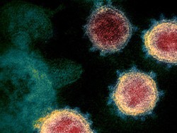 Update WHO Terkait Perkembangan Varian COVID-19 di Dunia