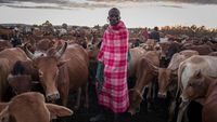 Wisata Margasatwa di Kenya Anjlok Gegara Corona