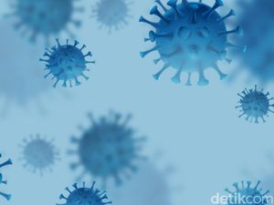 Kilas Balik Tahun Pandemi Corona
