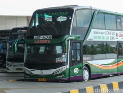 Mengenal Jenis-jenis Bus di Indonesia, dari Normal Deck sampai UHD