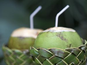 7 Manfaat Buah Kelapa yang Banyak Khasiat dan Menyegarkan