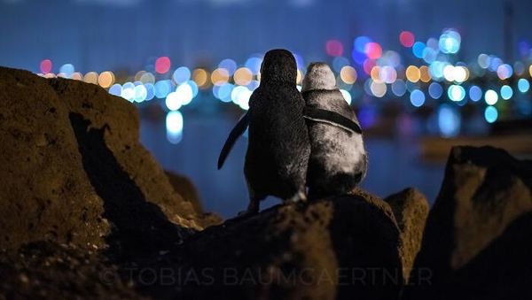 Karya Jawara Ocean Photography Awards Pukau Mata