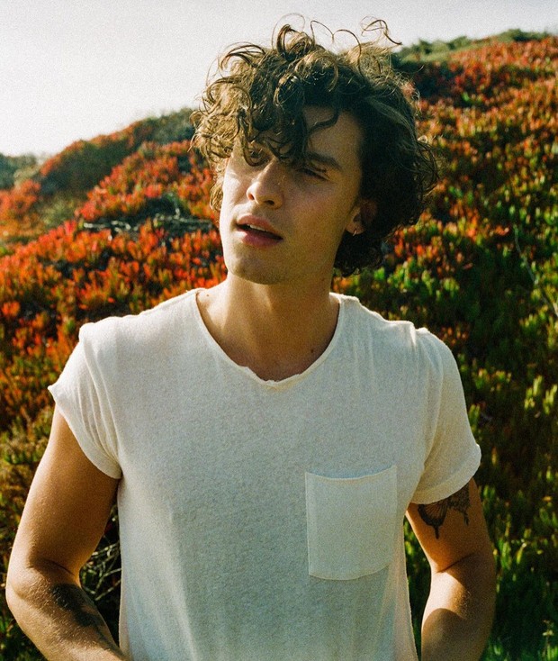 Penyanyi Shawn Mendes