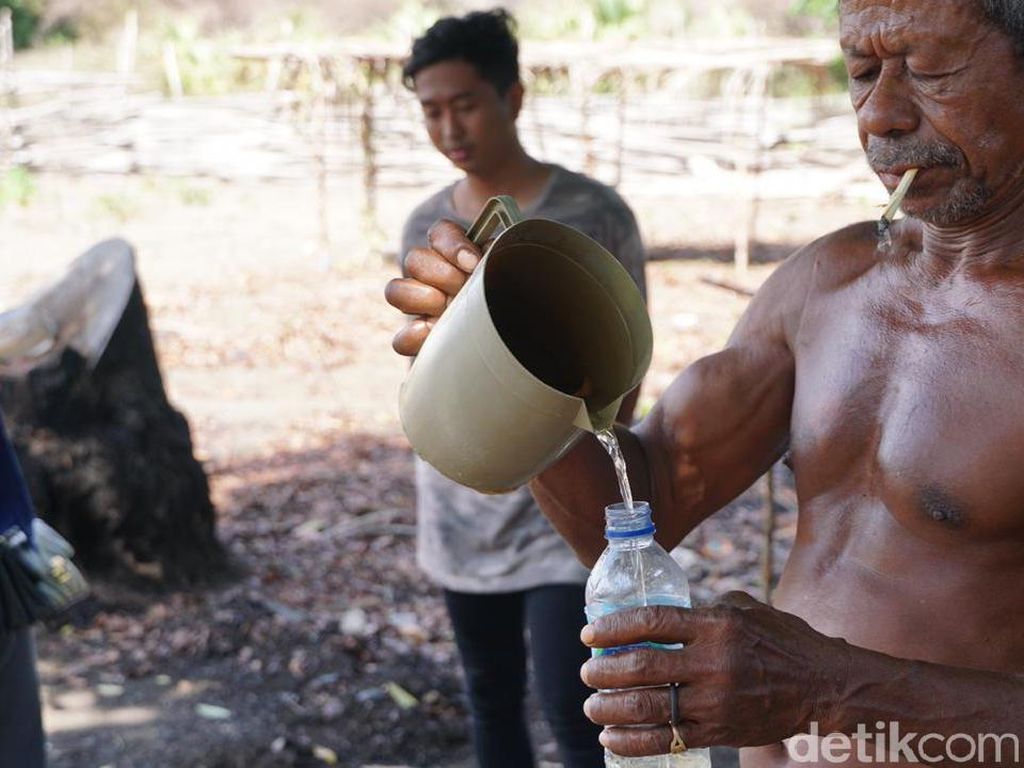 Tuak Khas Malaka Wajib Ada di Upacara Adat, Tak Diizinkan Pemerintah Tuak Khas Malaka Wajib Ada di Upacara Adat, Tak Diizinkan Pemerintah