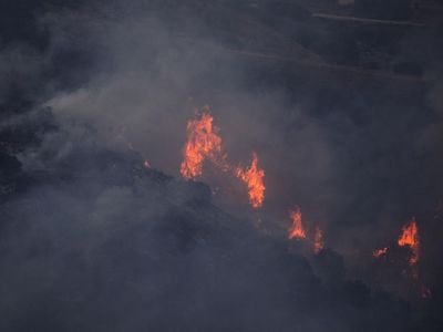 Kebakaran Bikin Hutan yang Dulu Hijau Kini Menghitam