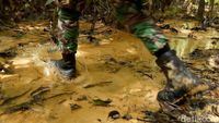 Menyusuri Hutan Kalimantan, Mencari Batas Indonesia-Malaysia