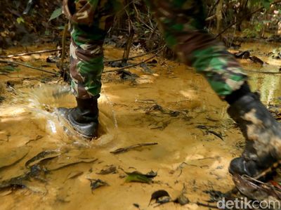 Menyusuri Hutan Kalimantan, Mencari Batas Indonesia-Malaysia