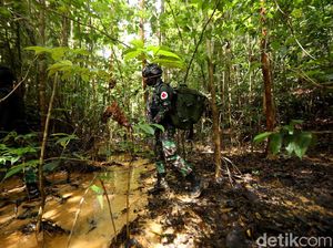 Hewan Ini Punya 5 Mata dan Organ Pendengarannya Ada di Perut, Bisa Tebak?