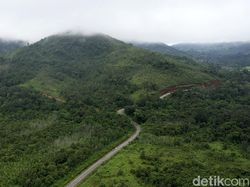 Menanti Jalan Ekonomi Hijau yang Demokratis
