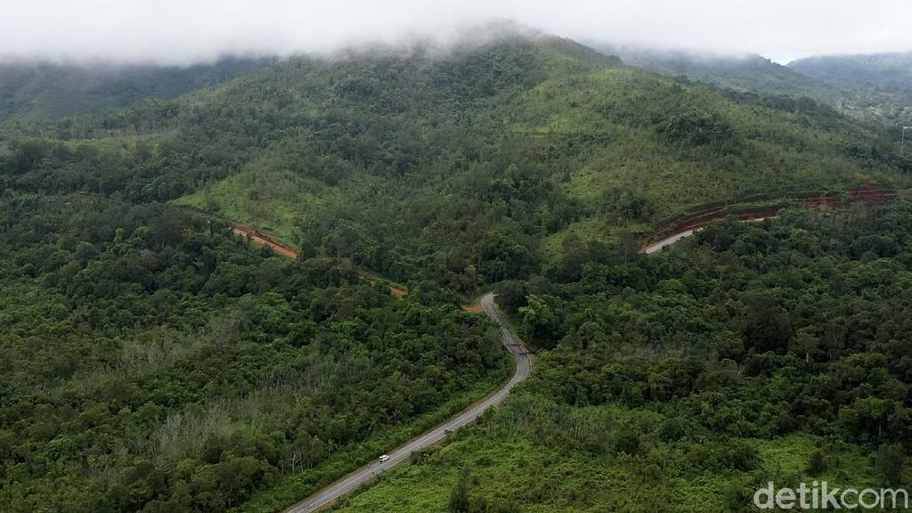Foto: Hijaunya Hutan Kalimantan yang Jadi Paru-paru Dunia
