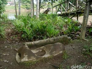 Kisah Batu Pengabul Keinginan Keramat Milik Suku Dayak Taman Kisah Batu Pengabul Keinginan Keramat Milik Suku Dayak Taman