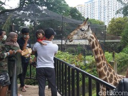 Libur Nataru, Begini Situasi Kebun Binatang Bandung Sabtu Ini
