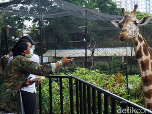 6 Tempat Wisata Seru di Kawasan Dago