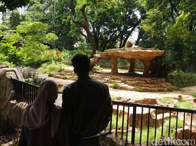 Libur Nataru, Begini Suasana di Kebun Binatang Bandung