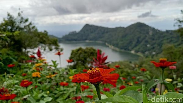 Begitu Cantik, Melihat Telaga Ngebel Ponorogo dari Ketinggian