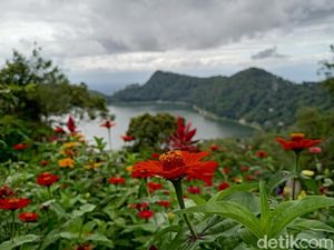 Begitu Cantik, Melihat Telaga Ngebel Ponorogo dari Ketinggian