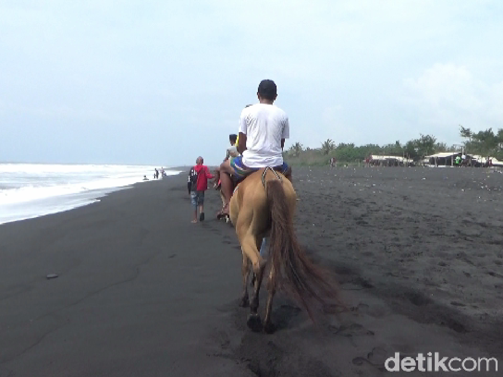 Bisa Berkuda di Pantai Watu Pecak, Lumajang Bisa Berkuda di Pantai Watu Pecak, Lumajang
