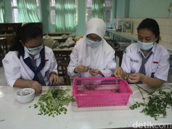 Daun Kelor dan Meniran Antar Siswa SMAN 3 Sidoarjo Juarai KIR Internasional